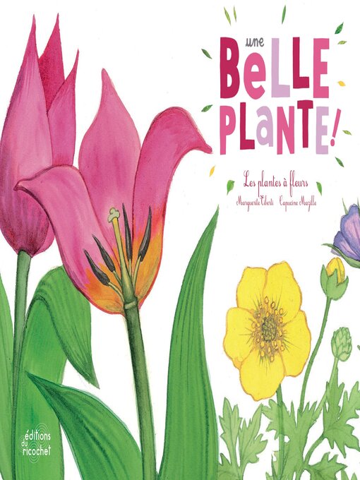 Cover image for Une belle plante !